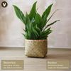 VIVANNO Blumentopf Bambus CISTELLA Rund - Natur Geflochten (1 St), 37x29 cm Bild 2