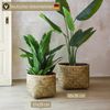 VIVANNO Blumentopf Bambus CISTELLA Rund - Natur Geflochten (1 St), 37x29 cm Bild 5