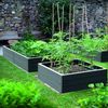 PROSPERPLAST Gewächshaus für Gemüse/Beetabdeckung mit Fenstern Gartenrabatte IBWR anthrazit Bild 5