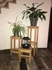 Barhocker, Bistrohocker, kernbuche massiv, H 85 cm Bild 2