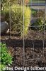 Rosenpavillon Metall 270 Höhe Rankhilfe Rankgitter Rosenbogen aus Eisen, 270 x 200 x 200 cm, Gartenlaube, romantischer Gartenpavillon für Kletterpflanzen, Jasmin Hochzeitsbogen Bild 5