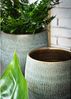 TS Indoor Blumentopf Ryan D16 cm Farbe mint-gold Durchmesser 16 cm Bild 2