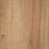 Atmosphera - Zweitüriger Couchtisch Colva - Natur - Holz - Beige Bild 4