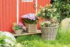 Pflanzer Rattan groß Blumenkasten Pflanzkorb Pflanzschale Blumentopf Bild 5