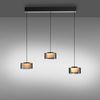 Paul Neuhaus LED Pendelleuchte RIKA, 3-flammig, Rauchfarben, Schwarz, Metall, Dimmfunktion, Memoryfunktion, LED fest integriert, Extra-Warmweiß, Lampenschirme aus Glas, Höhenverstellbar, B 71 x H 180 x T 15 cm Bild 4
