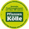 Knirps Granitsockel mit Rollen (ca. 50 kg), 55 x 55 x 6,5 cm Bild 3