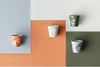REVOL Espressotasse Knickbecher Tasse Espresso green garrigue 80ml, Porzellan Bild 4