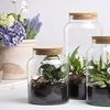 Pflanzen Terrarium aus Glas 10 L Deko Gewächshaus Bild 3