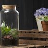 Pflanzen Terrarium aus Glas 10 L Deko Gewächshaus Bild 2