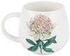 Maxwell & Williams DX1287 Becher 400 ml GOLDEN SUMMER Waratah, Porzellan, in Geschenkbox Bild 3