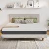 EGO HOME Matratze 160x200 cm 18 cm Hoch H3 Kaltschaummatratze mit 3-lagigem Kaltschaum & Beidseitig nutzbar - Druckentlastend, Punktelastisch, Atmungsaktiv, Rückenschonend, Öko-Tex Zertifiziert Bild 2