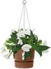 Elho Greenville Hängeampel 24 - Blumentopf für Balkon & Außen - Ø 23. 5 x H 20. 5 cm - Braun/Ingwer Braun Bild 3