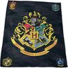 Kinderdecke Harry Potter Decke Hogwarts 150x200 cm Kuscheldecke Fleecedecke Magie, BERONAGE, passend zur Bettwäsche, ideal für Sofa, Couch, Kinder-Bett, Auto Bild 5