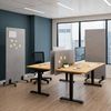 Ergotopia Focus Floor Stellwand Bild 5