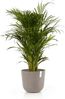 ECOPOTS Blumentopf Oslo 35 + Wassersystem Taupe, für innen und außen: frostsicher, bruchsicher und lichtbeständig Bild 3