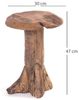DESIGN DELIGHTS Beistelltisch BEISTELLHOCKER "DARWIN", Teakholz, Ø 30 cm, Wurzelholzhocker Bild 2