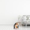 relaxdays Kratzbaum Enthaarungsbogen für Katzen Bild 2