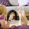 relaxdays Kratzbaum Enthaarungsbogen für Katzen Bild 5