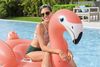 Schwimmtier Flamingo 148 x 127 x 99 cm Bild 5