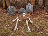 EUROPALMS Halloween Skelett, mehrteilig Bild 2
