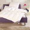Häussling Body Perfect Daunenkopfkissen Modern Line soft Bild 2