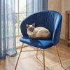 Menzzo Polsterstühle, Metall, Blau, L61 x T59 x H80 cm Bild 2