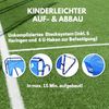 Best Sporting Fußballtor mit Torwand 5 Schusslöcher (Set), sehr stabil, 213x152 cm Bild 5