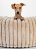TrendPet Tierbett Biscuit Spot Hundebett, 100% Polyester, in 2 Farben erhältlich Bild 5
