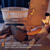 Lionelo Coral 3 IN 1 Kinderbett bis 9 kg, Wiege, Babywaage, 5 Schaukelgeschwindigkeiten, 12 Melodien, 4 Rollen, Ergonomische Matratze, Timer, Fernbedienung, Moskitonetz Bild 4