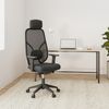 Ergotopia MasterBack Style I Ergonomischer Bürostuhl I Inkl. Synchronmechanik I Verstellbarere Kopfstütze & 3D+ Armlehnen I Schwarz Bild 2