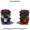 Engelland Blumenständer Säulentopf, Hochbeet, Kräuterbeet (Vorteils-Set, 5 St, 11 Liter Fassungsvermögen je Ebene), fallsicher, UV-beständig, stapelbar, platzsparend, robuster Kunststoff Bild 2