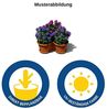 Engelland Blumenständer Säulentopf, Hochbeet, Kräuterbeet (Vorteils-Set, 5 St, 11 Liter Fassungsvermögen je Ebene), fallsicher, UV-beständig, stapelbar, platzsparend, robuster Kunststoff Bild 5