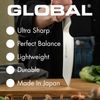 Global Fischmesser Yanagi-Sashimi-Schliff 30 cm G-14 Bild 4