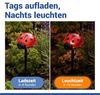Maximex LED Gartenleuchte Modell Marienkäfer, Ein-/Ausschalter, LED fest integriert, Warmweiß, Beetstecker, solarbetriebene Gartenbeleuchtung, leuchtet bis zu 10 Std Bild 3