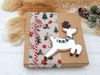 ZauberDeko Geschenkbox Geldgeschenk Weihnachten MIT NAME Natur Rentier Schal Schneelandschaft Bild 3