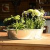 UNUS GARDEN Blumentopf Zinkübertopf mit Griffen – Pflanztopf in Wannenform aus Zink (1 St, 27 Liter Oval), zum Bepflanzen oder als Miniteich Bild 2