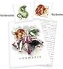 Harry Potter Wendebettwäsche Harry Potter, Linon, mit tollem Motiv Bild 2