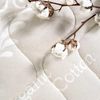 Naturlatex Topper 180x200 Höhe 8 сm - 180x200x8 Bild 3