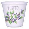 La Porcellana Bianca La Porcellana Bianca Set mit 6 Gläsern für Mirto-Likör 75 ml P012715MIRZ Bild 1