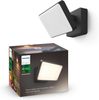 Philips Hue Welcome Outdoor Floodlight - Black Bild 1