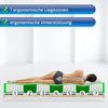 Matratzen Perfekt Tonnentaschen-Federkern-Matratze München mit 1000 Federn und Aloe-Vera veredeltem Bezug in den Härtegraden H2, H3, H4, Höhe 23 cm, TTFK/TFK (H3, 160x200 cm) Bild 4