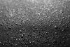 Blackstone 36" Abdeckhaube Bild 2