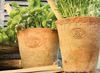 Terracotta Blumentopf Landhausstil Pflanztopf mit Ablaufloch für innen außen 8cm Bild 2