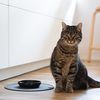 LucyBalu Napfunterlage CIRCLE (29cm), für Katzen, verschiedene Farben, lebensmittelechtes Silikon Bild 5
