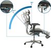 hjh OFFICE Bürostuhl ERGOHUMAN Plus LEGPRO I Netz hochwertiger Bürosessel mit ergonomischer Rückenlehne, Schwarz, 652298 Bild 2