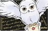 United Labels® Lunchbox Harry Potter Brotdose Hedwig Eule Lunchbox Butterbrotdose Trennwand, Kunststoff (PP) Bild 2