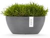 ECOPOTS Blumentopf SOFIA Grey, BxTxH: 13x13x13,5 cm Bild 2