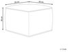 Pouf DAREYN Helles Beige Samtstoff 50 cm 50 cm Bild 3
