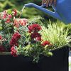 Praknu Pflanzkübel Hochbeet Pflanzsack 190L aus Vliesstoff mit Schilder zum Beschriften (Einzelartikel, 1 St), Für Gemüse, Pflanzen & Blumen - Stofftöpfe - Grow Töpfe Bild 5
