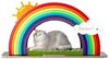 Canadian Cat Company Kratzbrett Design-Kratzmöbel Rainbow, Kletter-Bogen mit Kratzbrett, bunt, 105 x 46,7 x 53,5 cm Bild 5